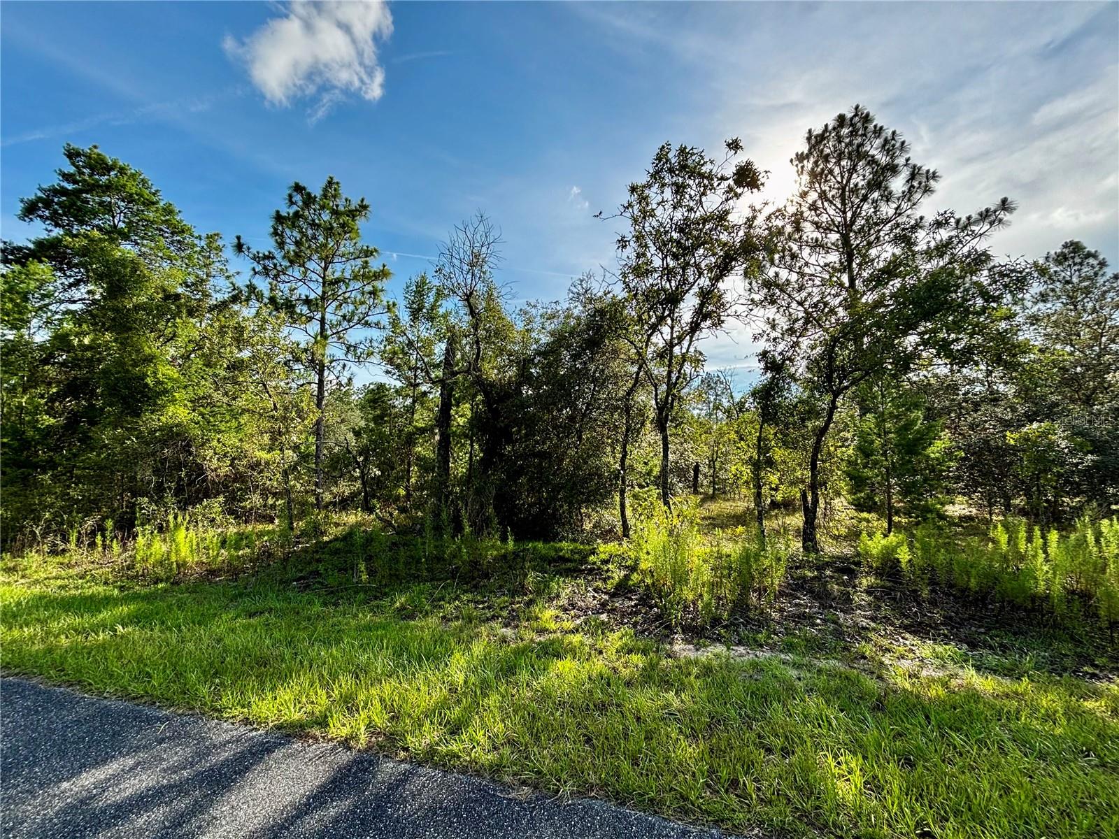 Lot 24 SE 136 TER Property Photo 1