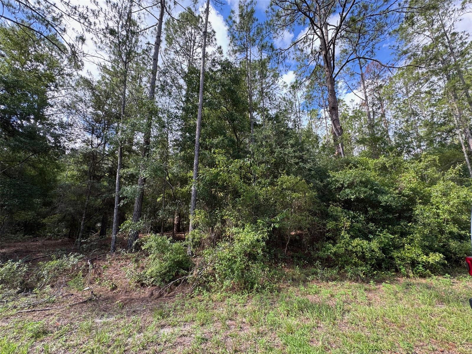 Lot#11 Sw South Beach Ct Property Photo 6
