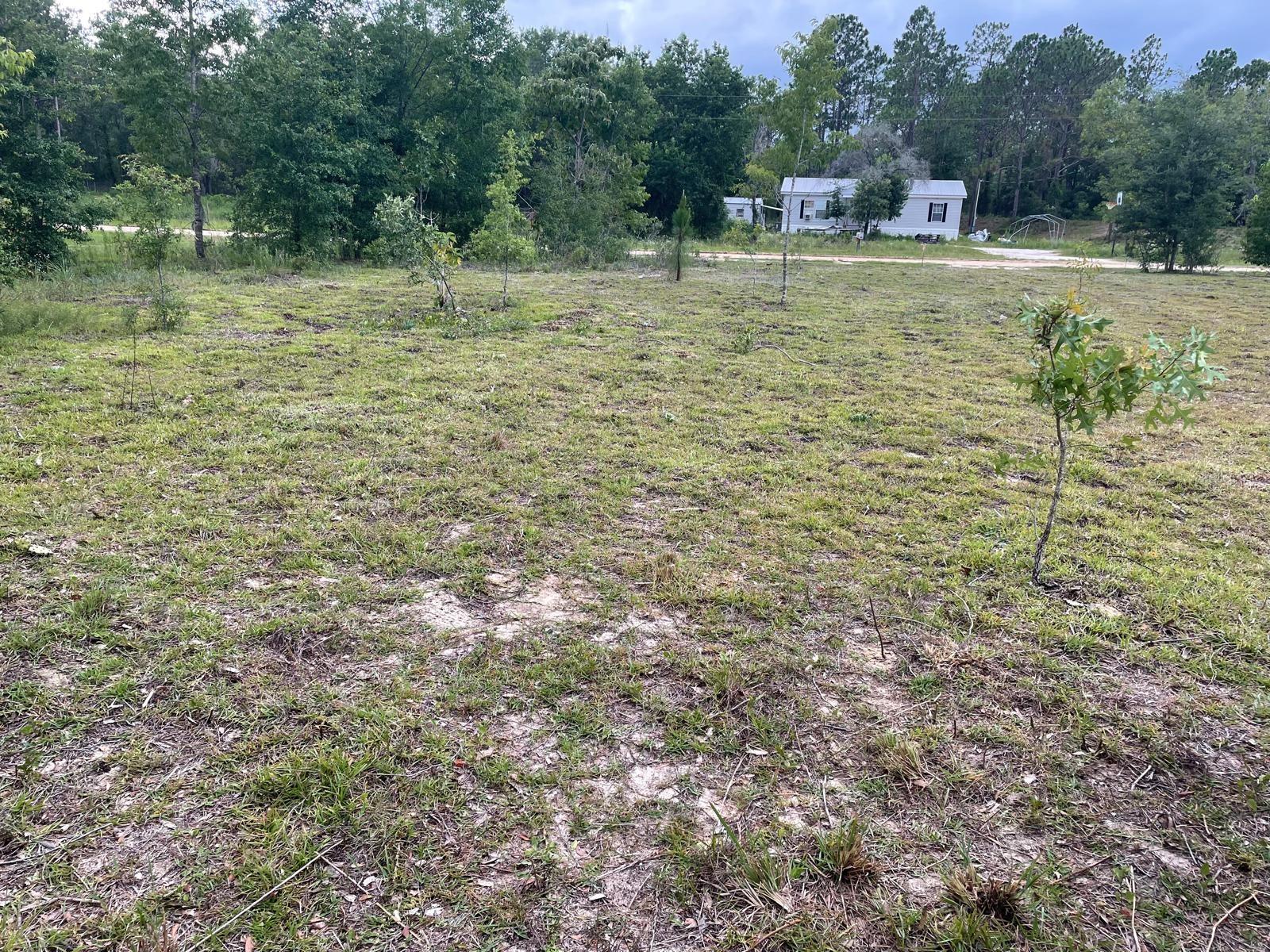 Ne 135th Ct Property Photo 1