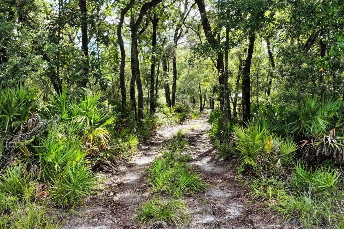 0000 Sw County Road 347 Property Photo 1
