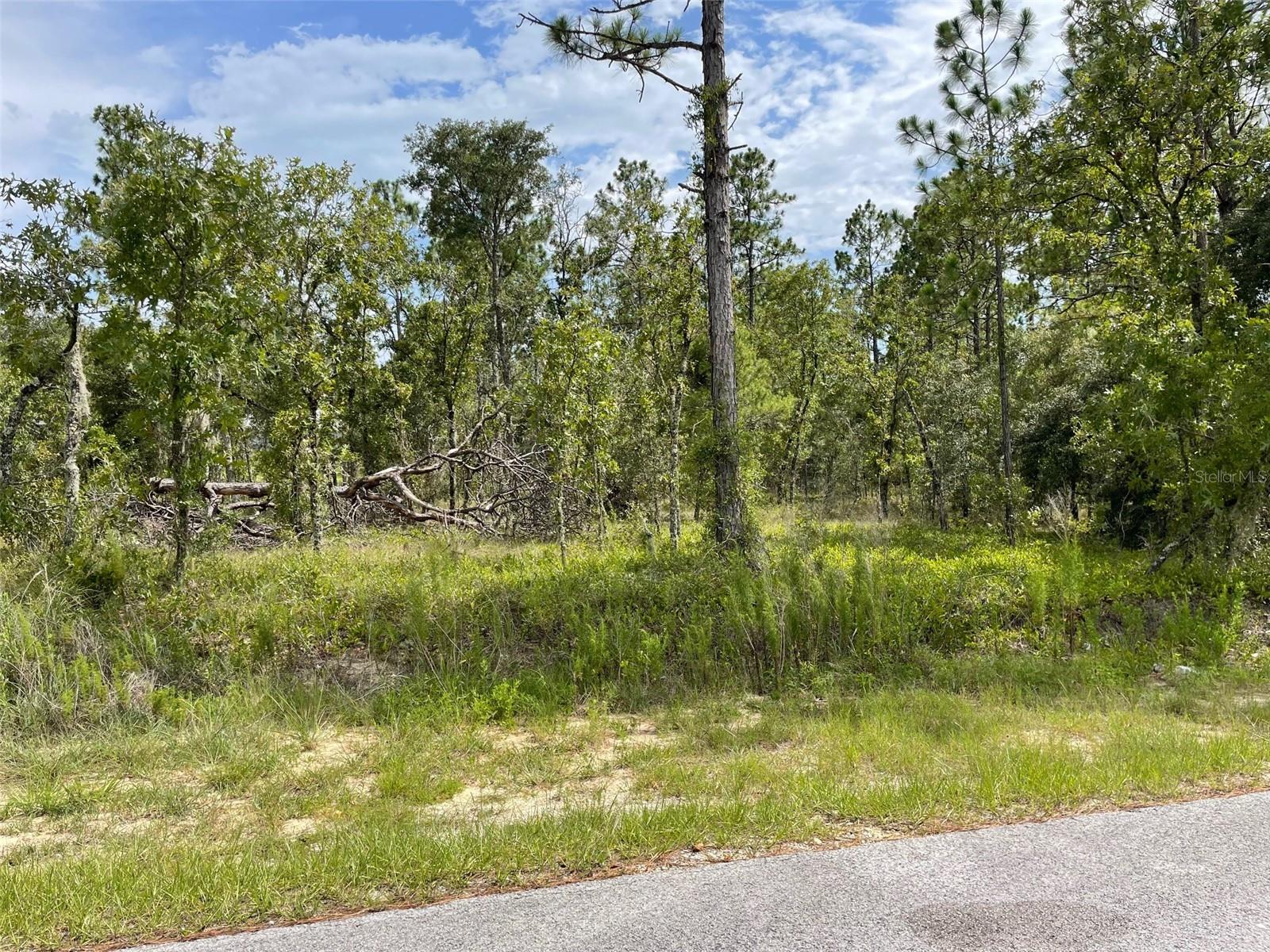 Lot 18 Nw Geranium Ave Property Photo 1
