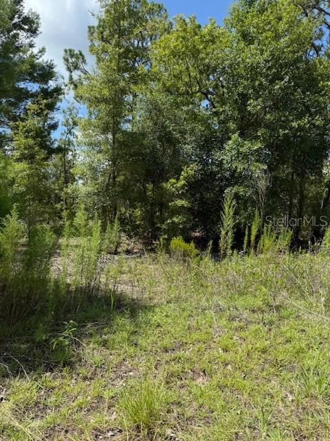 113 S DAKOTA ST Property Photo 1