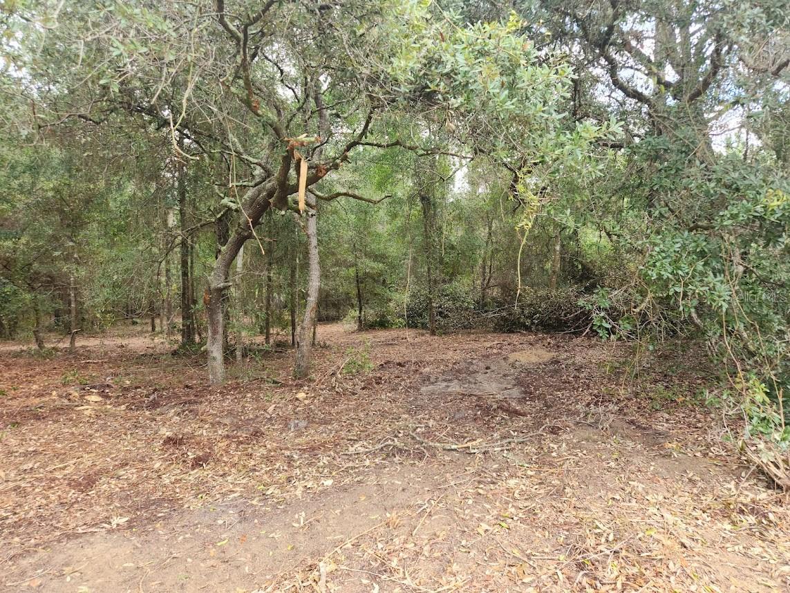 Lot 27 Sw Pine Bluffs Rd Property Photo 12