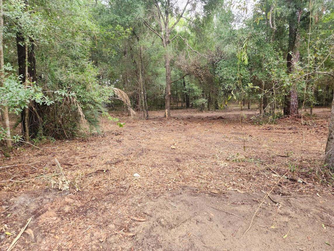 Lot 27 Sw Pine Bluffs Rd Property Photo 13