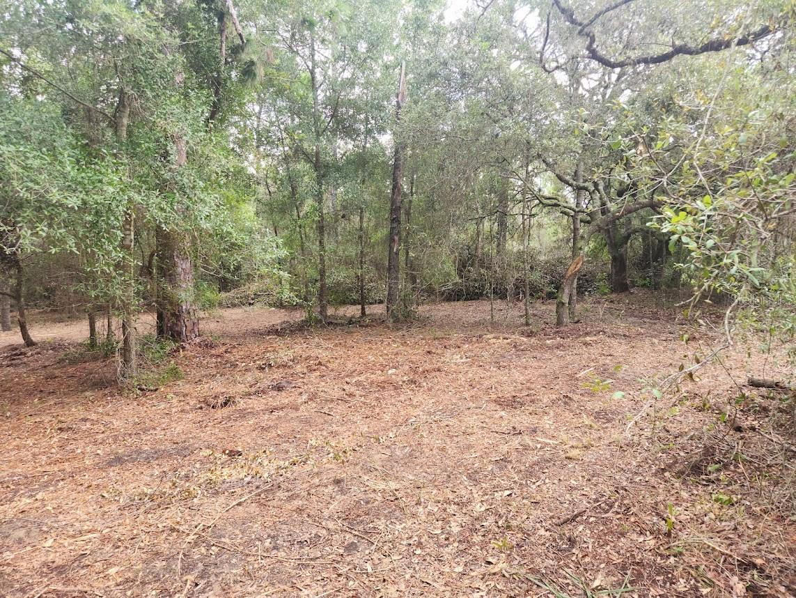 Lot 27 Sw Pine Bluffs Rd Property Photo 14