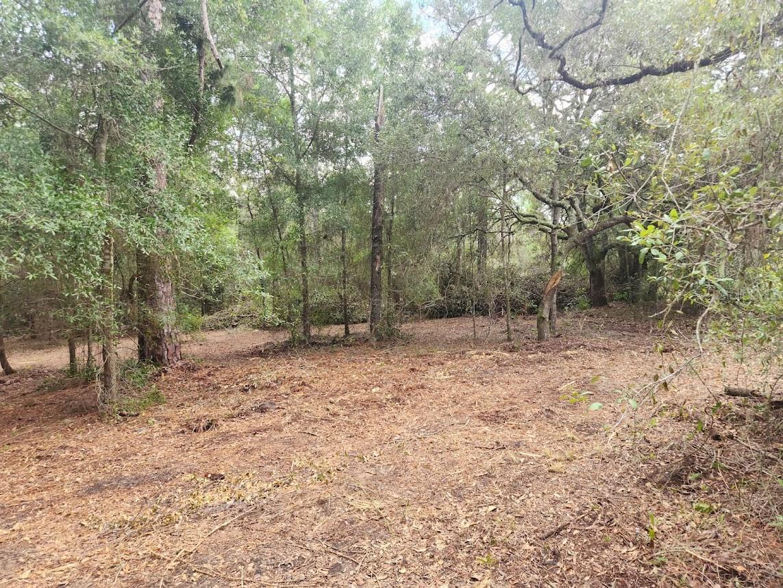 Lot 27 Sw Pine Bluffs Rd Property Photo 15