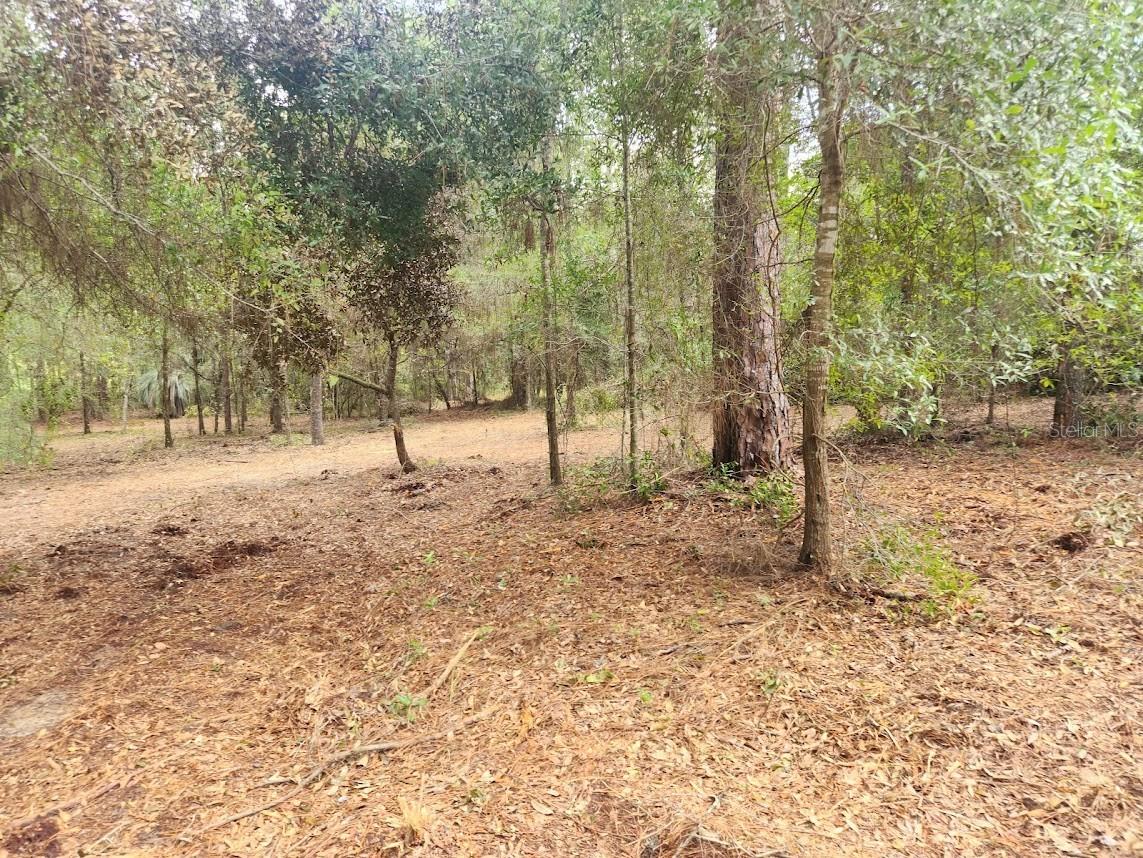 Lot 27 Sw Pine Bluffs Rd Property Photo 17
