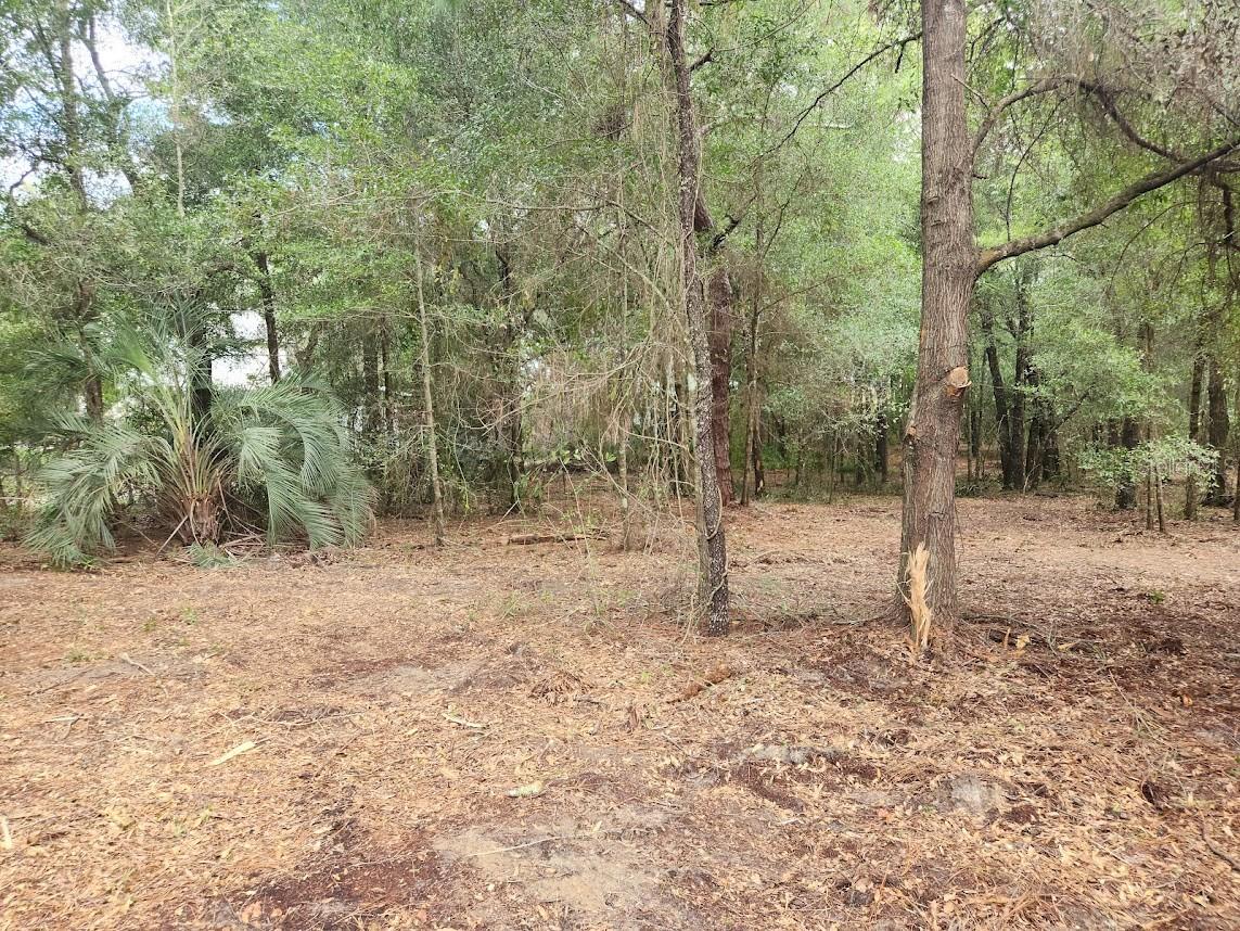 Lot 27 Sw Pine Bluffs Rd Property Photo 18