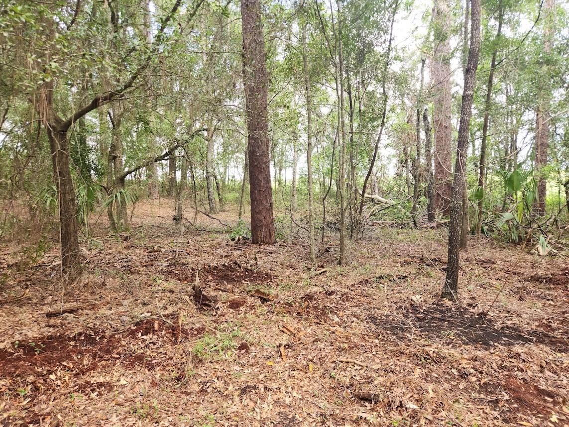 Lot 27 Sw Pine Bluffs Rd Property Photo 20