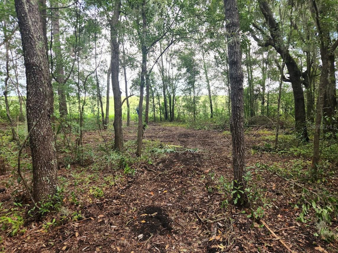 Lot 27 Sw Pine Bluffs Rd Property Photo 21