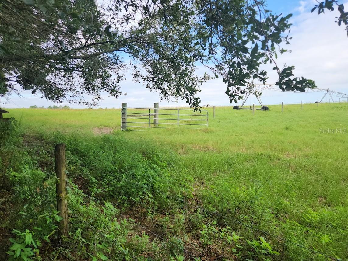 Lot 27 Sw Pine Bluffs Rd Property Photo 22
