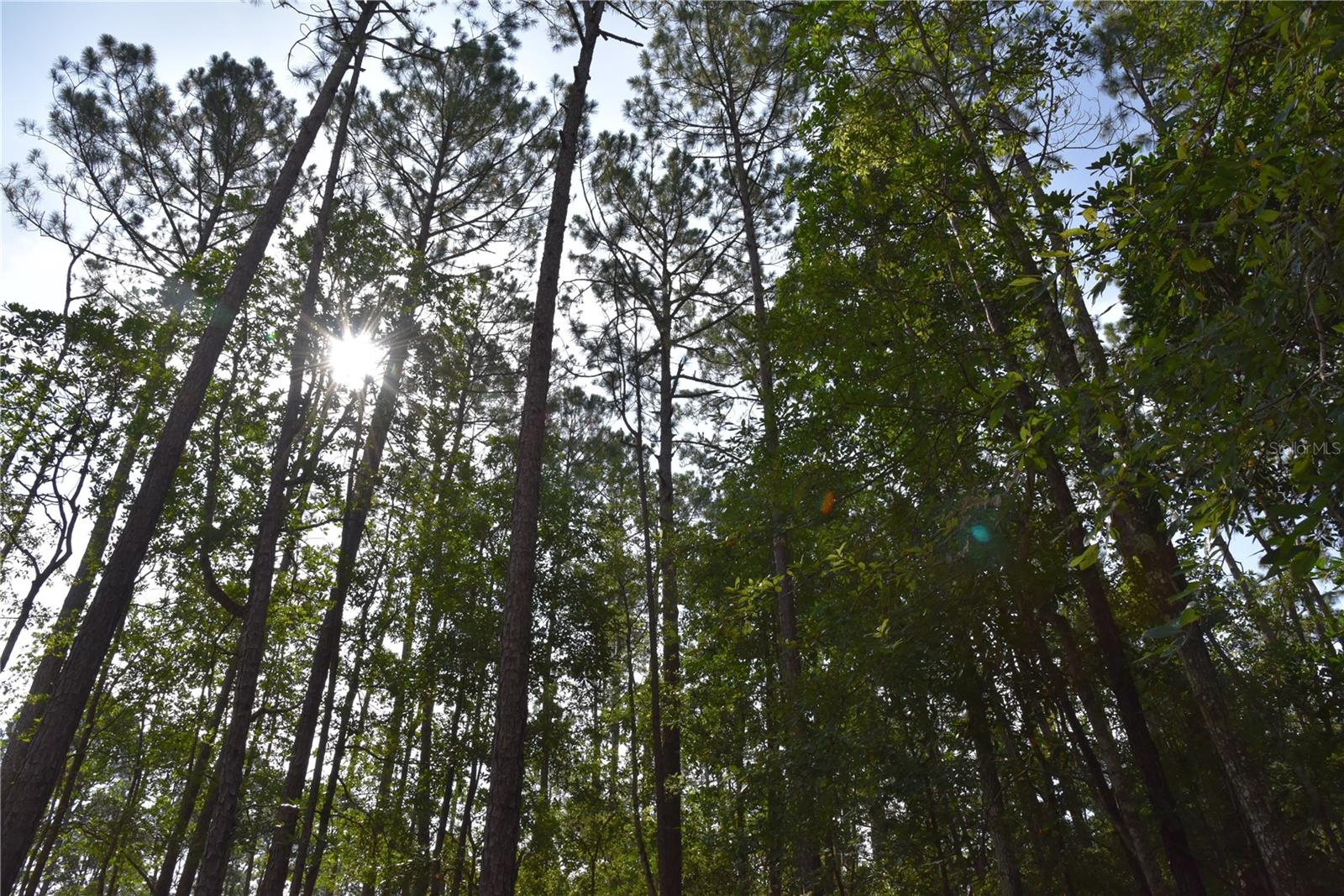 4050 Als Satch Rd Property Photo 1