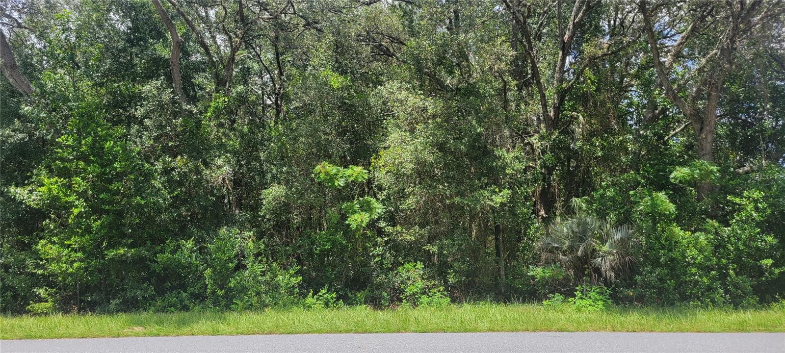 0 Sw Beach Blvd Property Photo 1