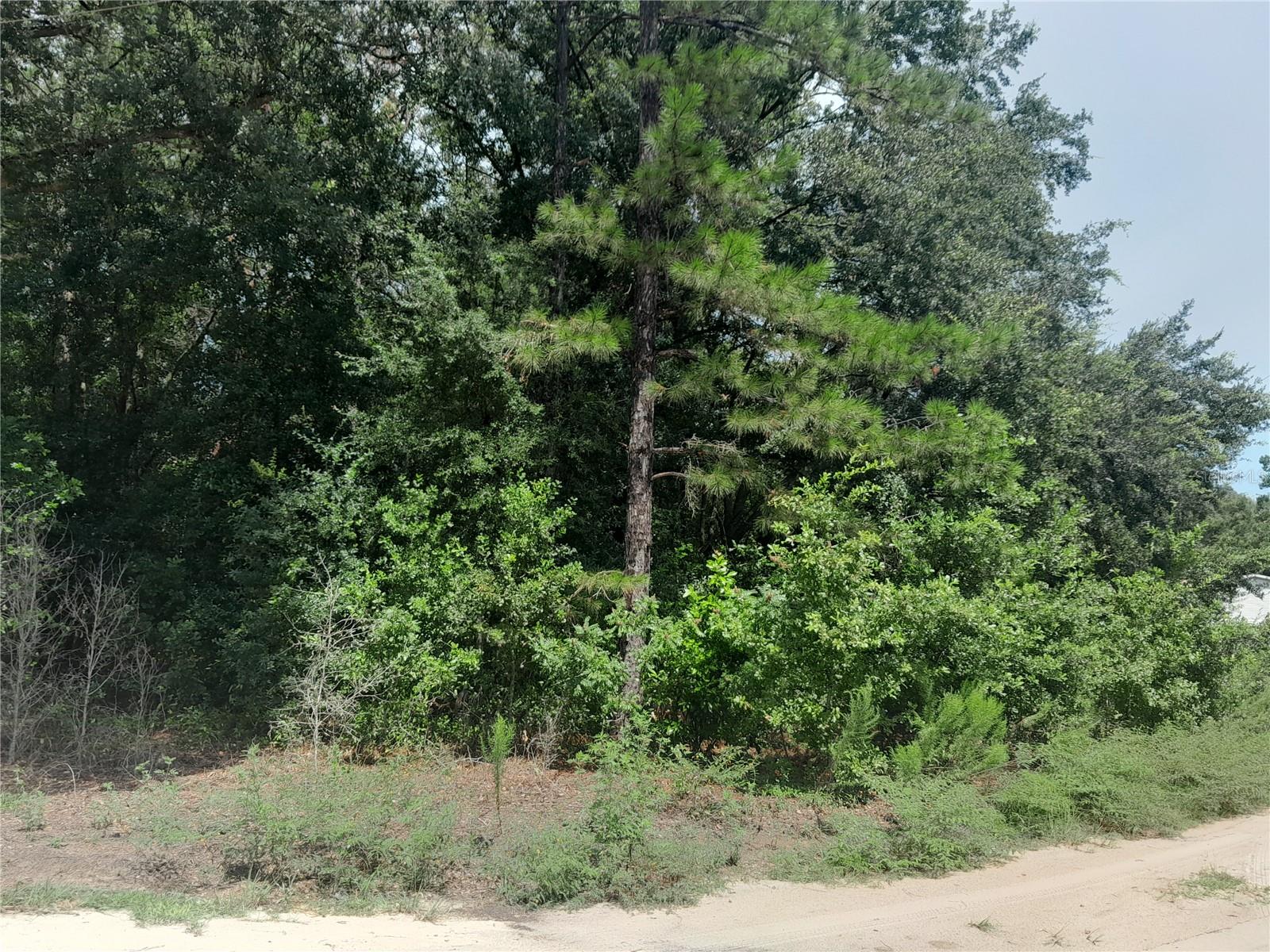 Se 108th Ter Property Photo 4
