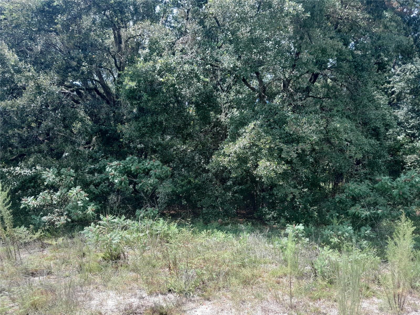 Se 108th Ter Property Photo 5