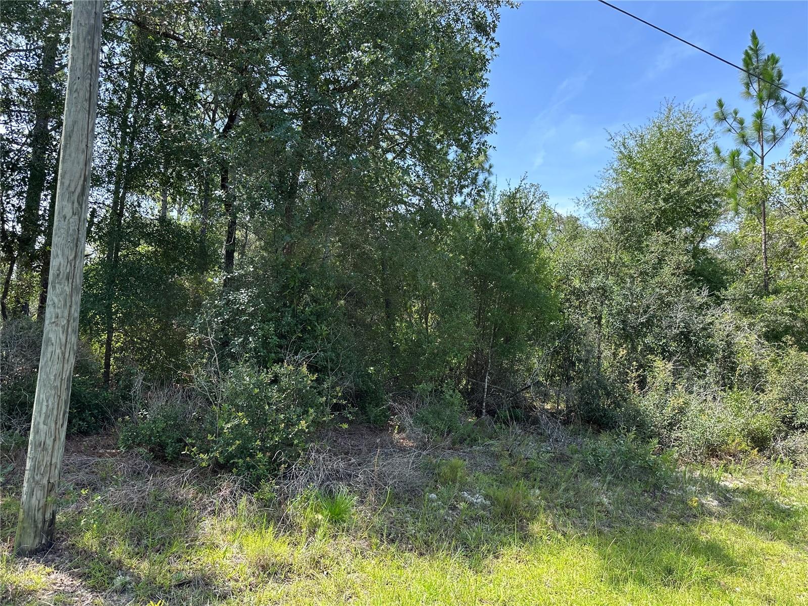 1498 E Carson Rd Property Photo 1