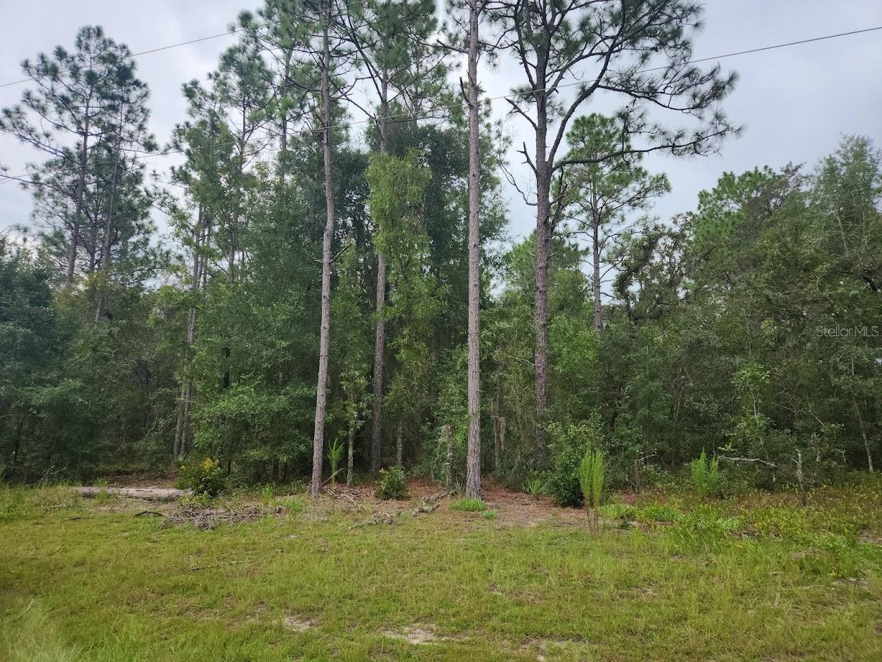 Lot 24 Sw 89th Cir Property Photo