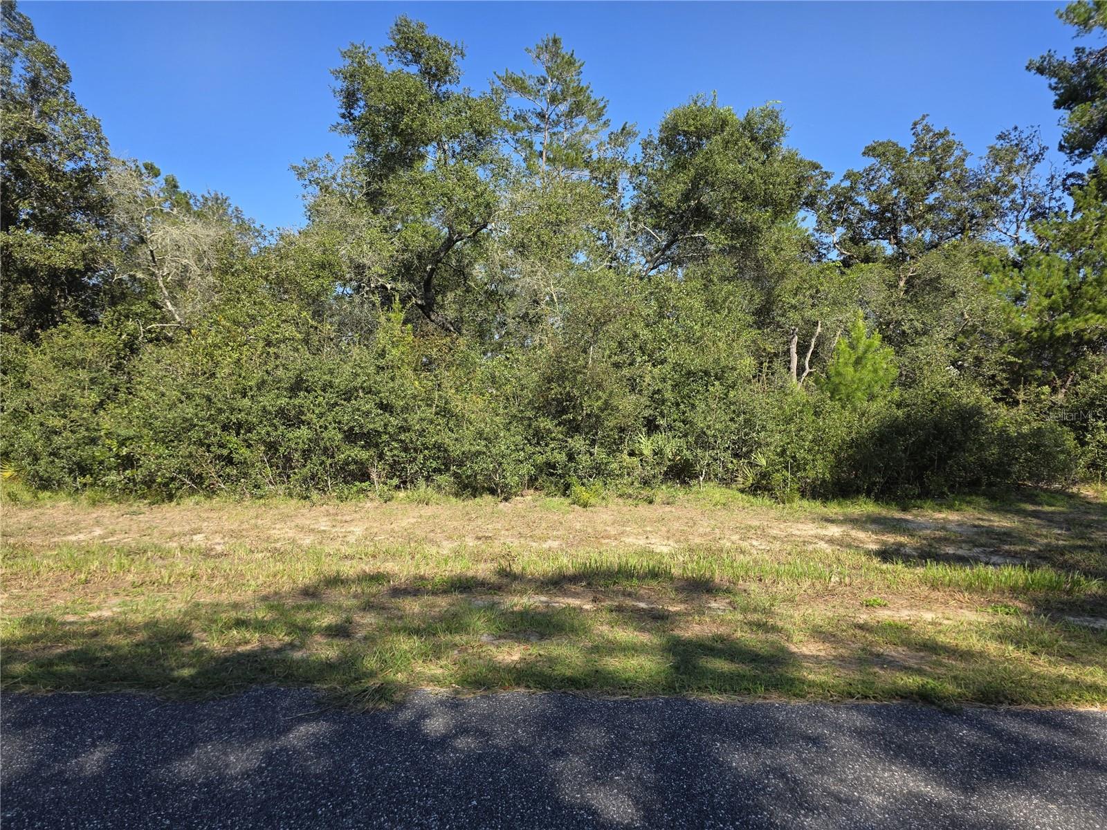 0 Sw 21 Ln Property Photo 2