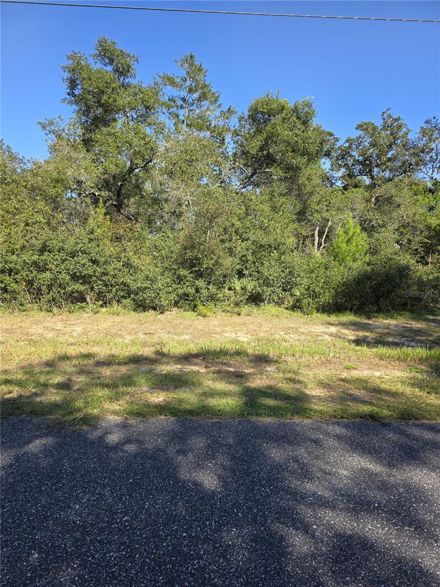 0 Sw 21 Ln Property Photo 3