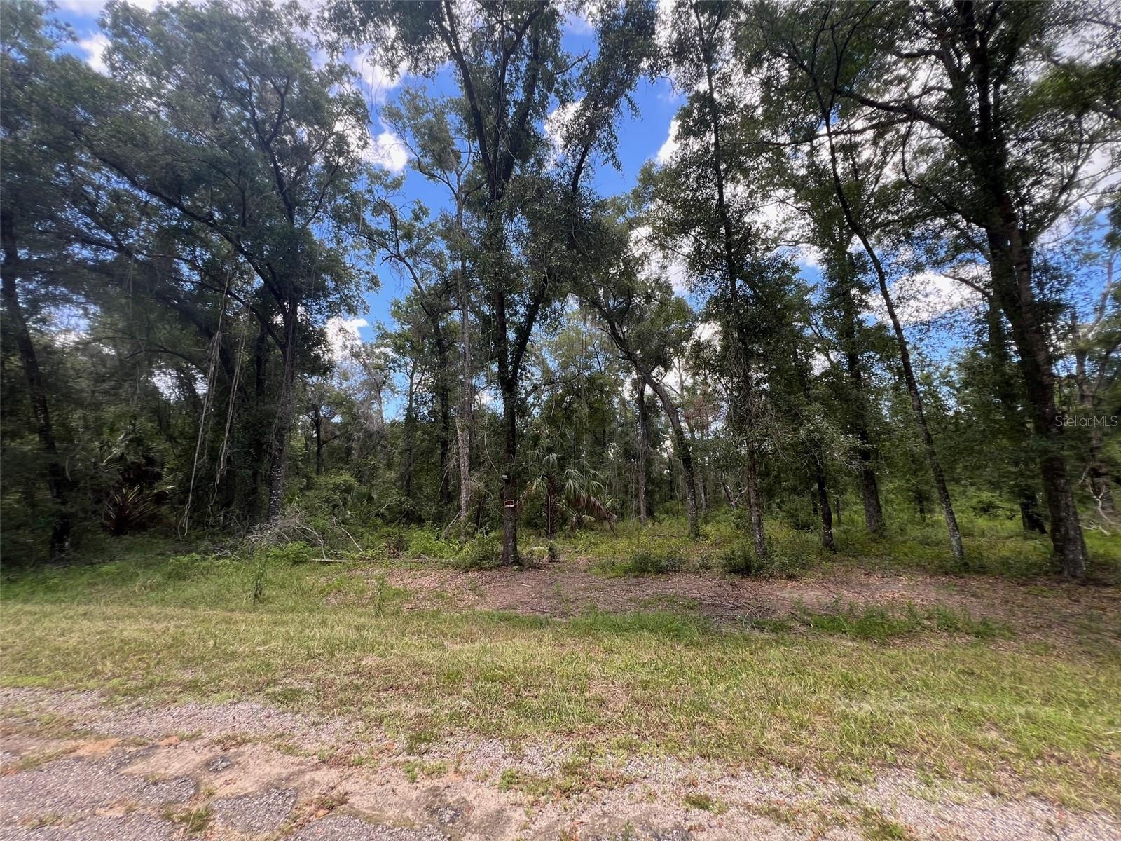 1628 E DERBY DR Property Photo 1