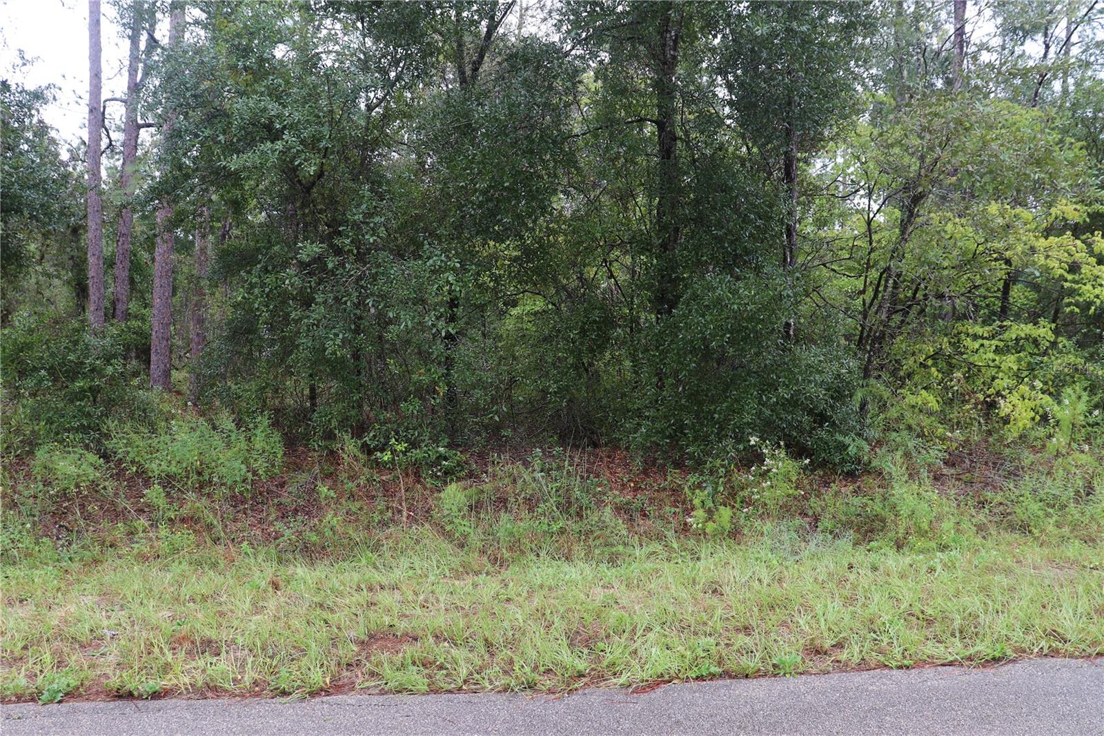 00 Nw Beuna Vista Rd Property Photo 2