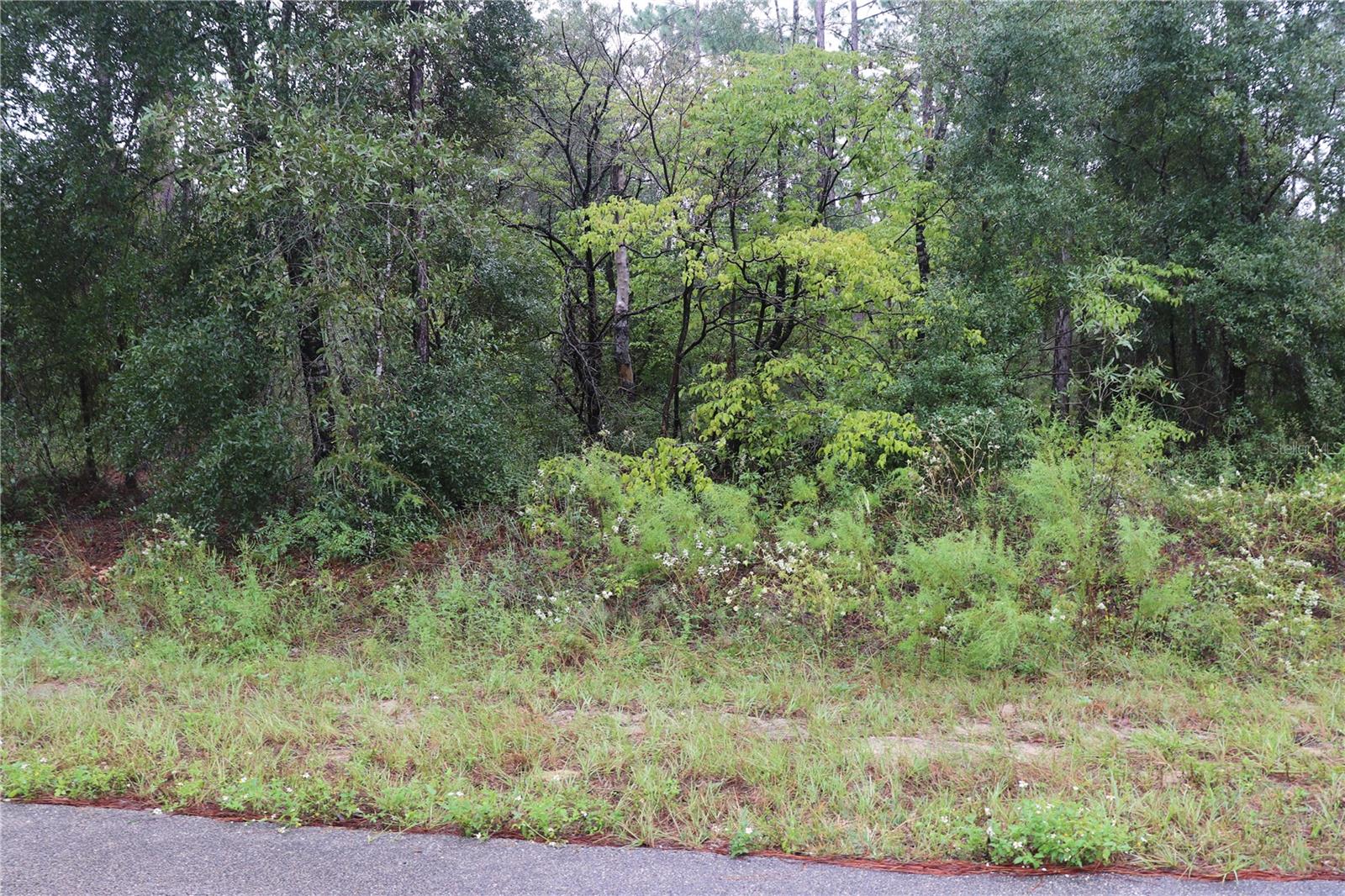 00 Nw Beuna Vista Rd Property Photo 4