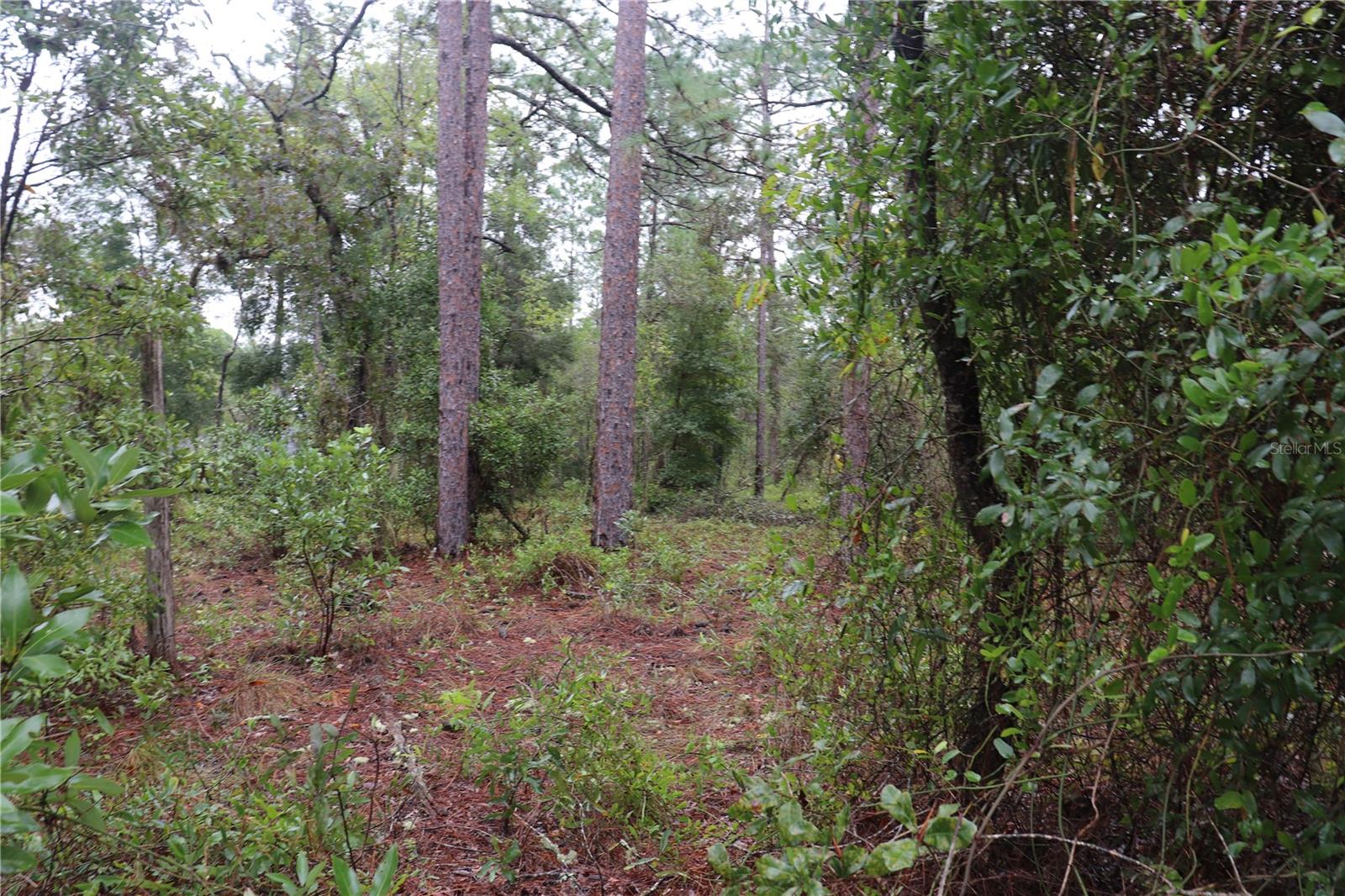 00 Nw Beuna Vista Rd Property Photo 5