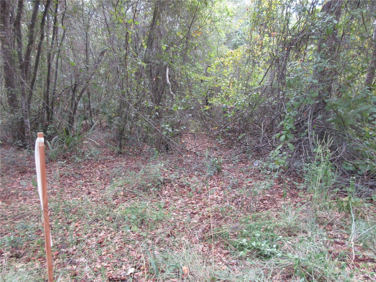 Se 1 Ln Property Photo 1