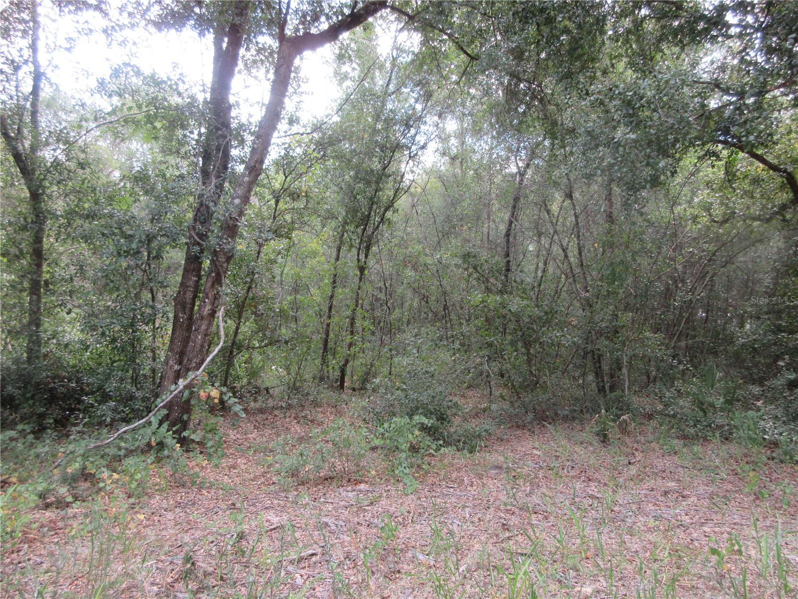 Se 1 Ln Property Photo 1