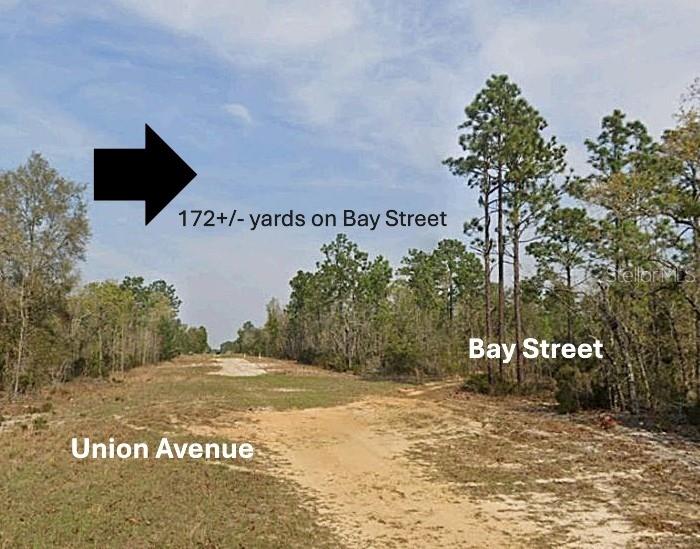 Xx Bay St Property Photo 3