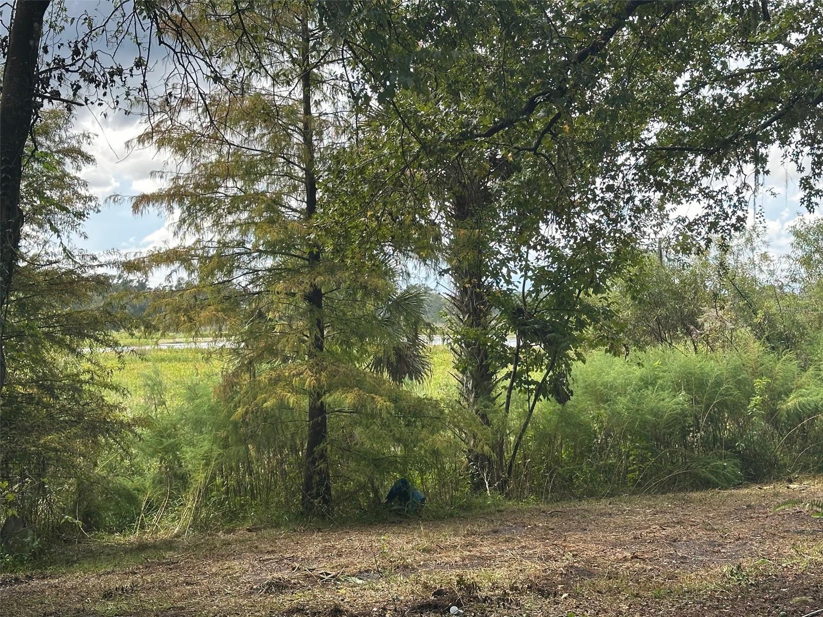 6661 E Turner Camp Rd Property Photo 2