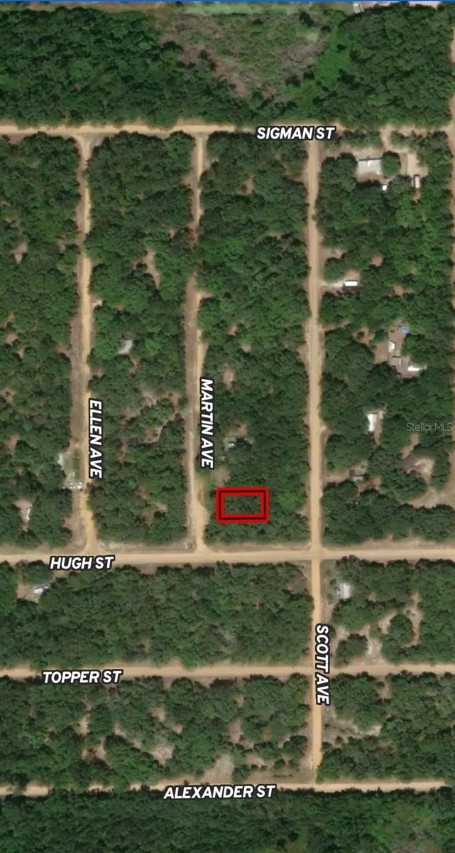 Lot 13 Martin Ave Property Photo 1
