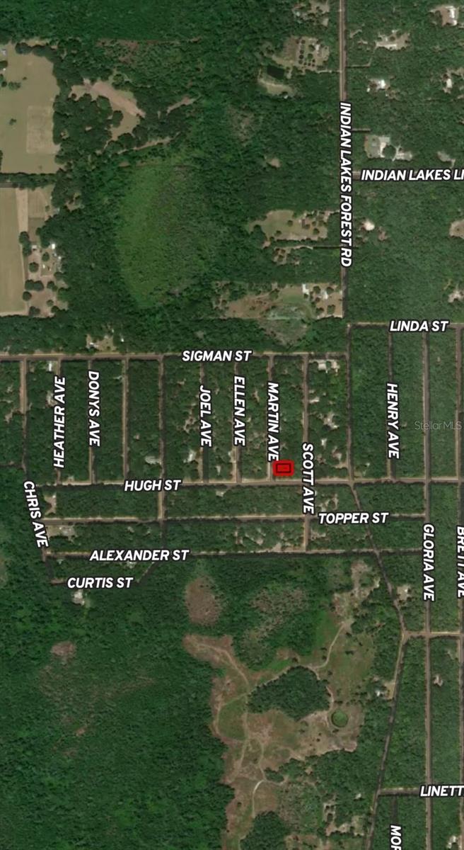 Lot 13 Martin Ave Property Photo 2