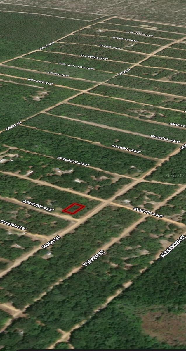 Lot 13 Martin Ave Property Photo 4
