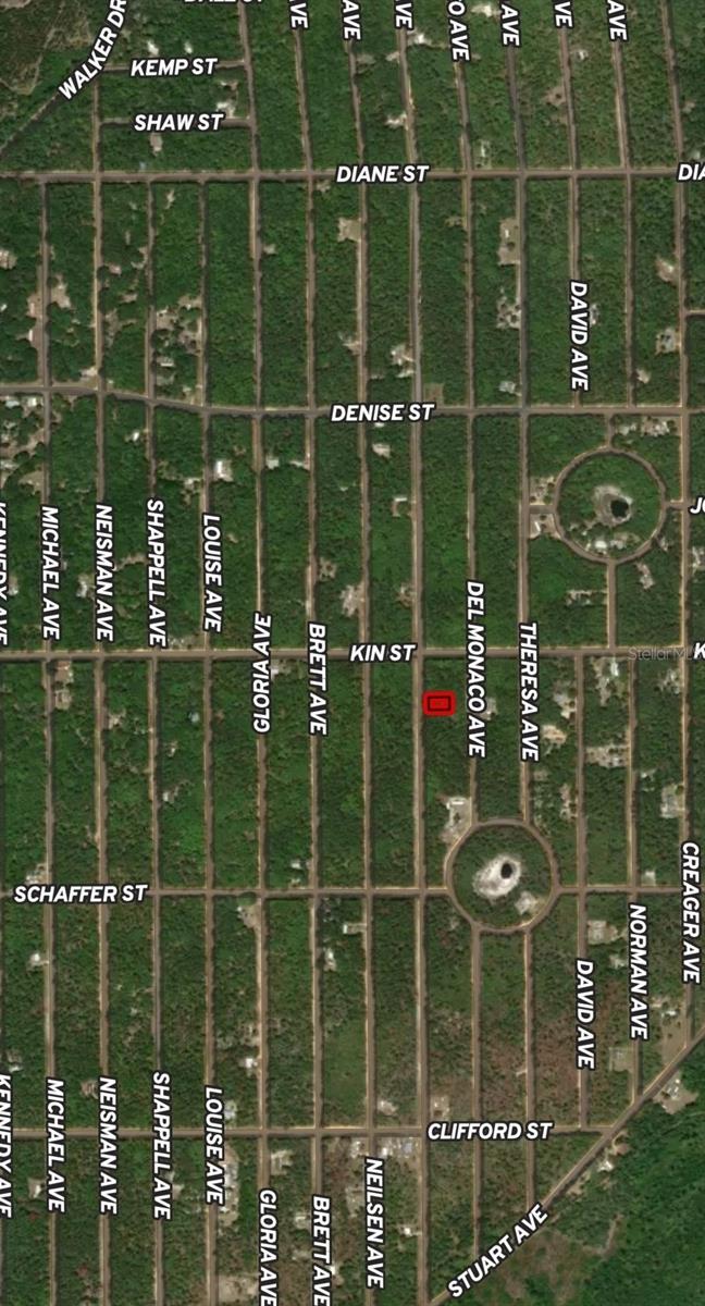 Lot 4 Usina Ave Property Photo 2