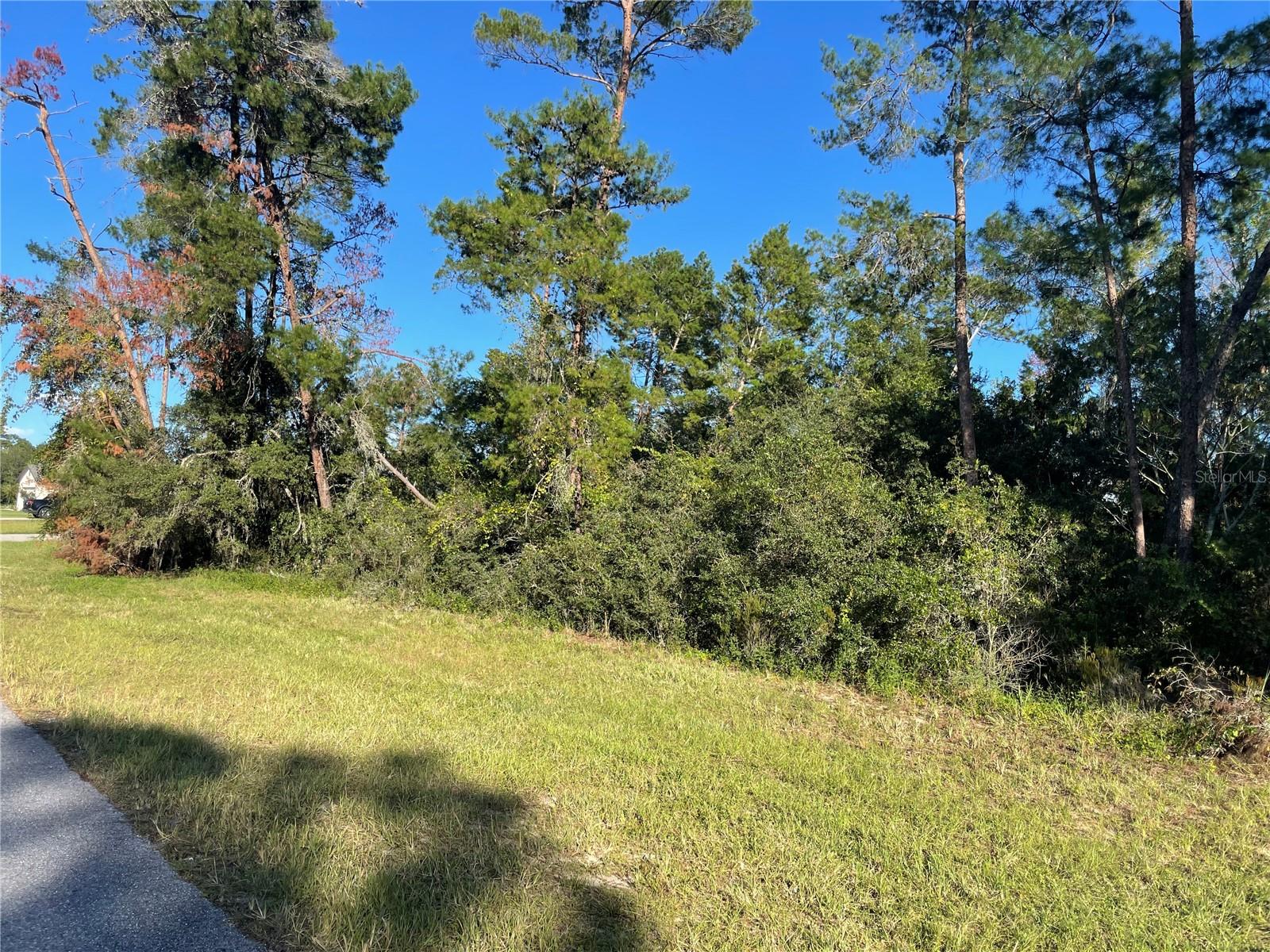 MARION OAKS LANE Property Photo 1