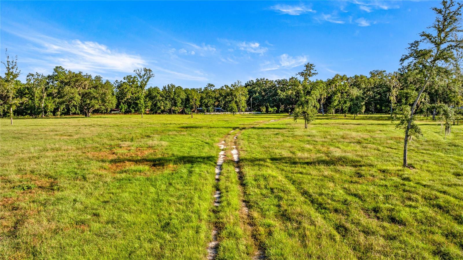17748 N Hwy 329 Property Photo 13