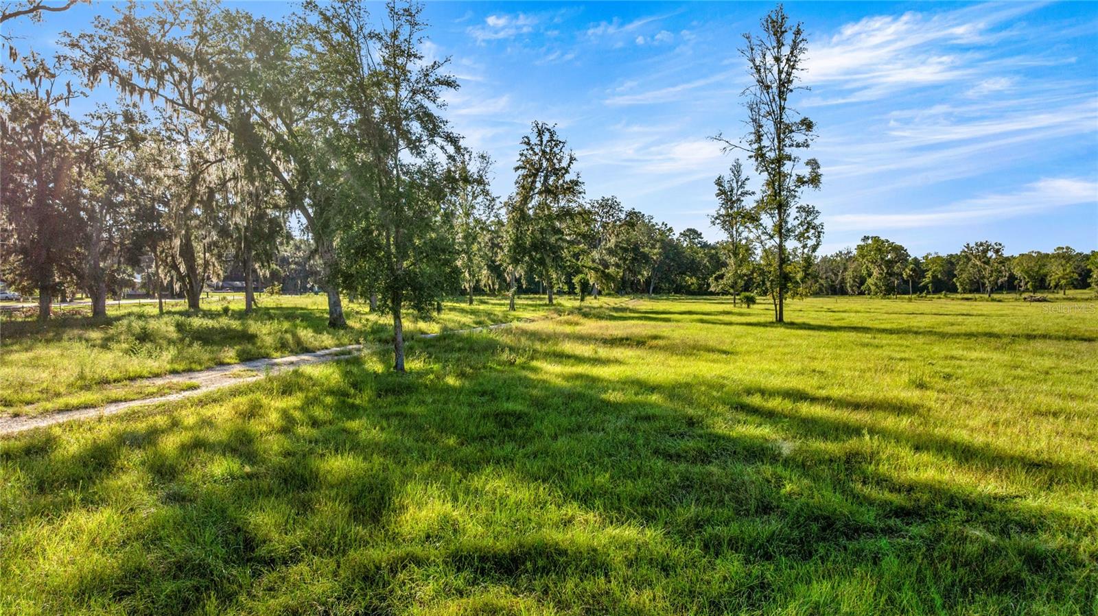 17748 N Hwy 329 Property Photo 15