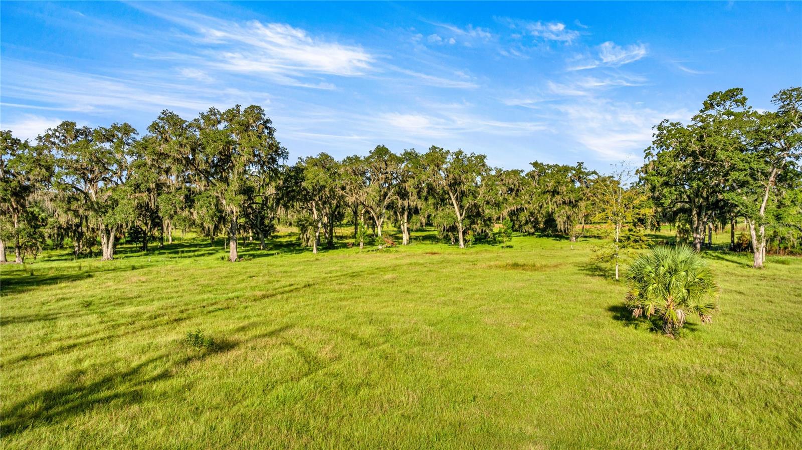 17748 N Hwy 329 Property Photo 16
