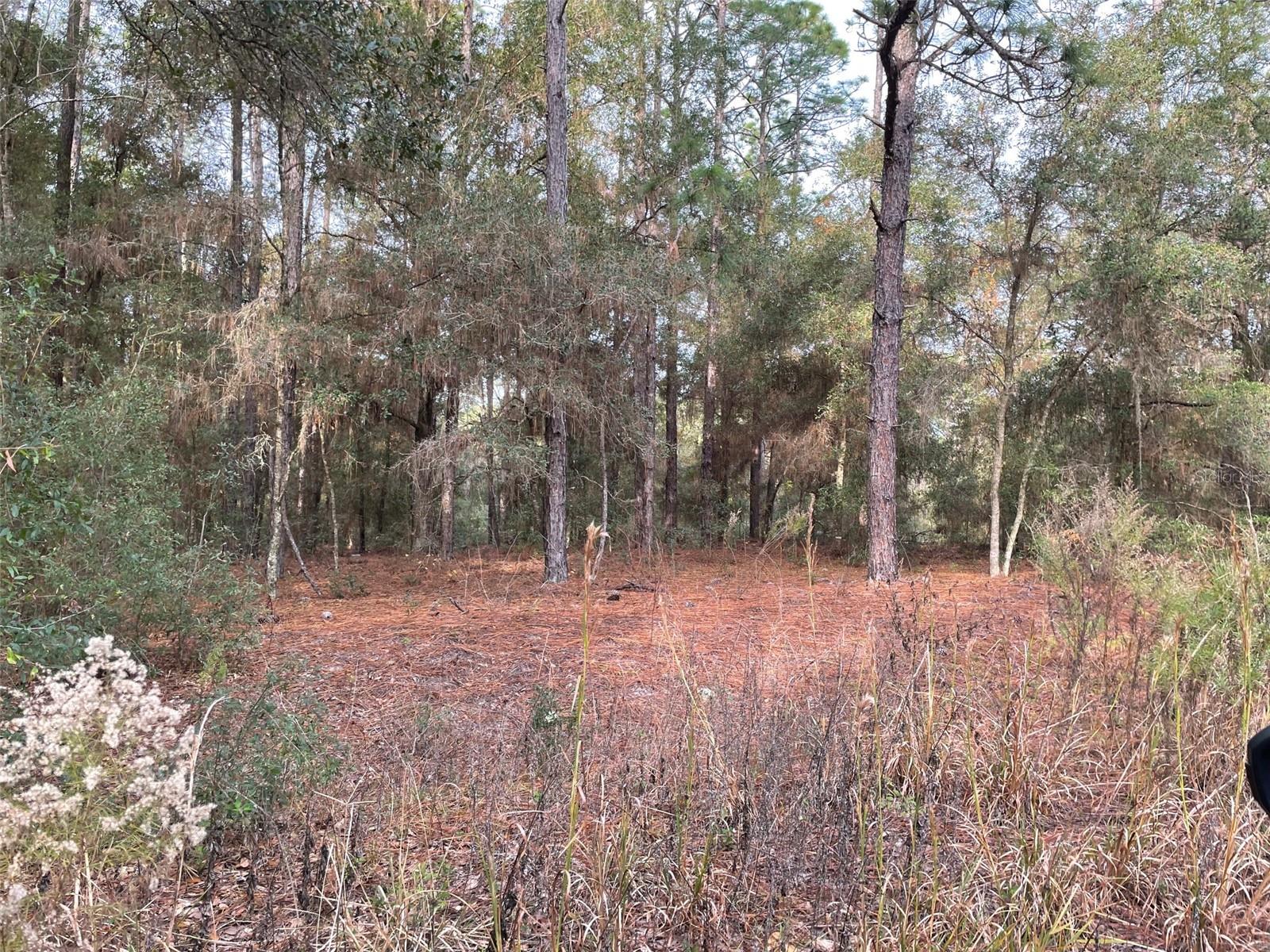 Lot 9 Sw 152nd Ave Property Photo 1
