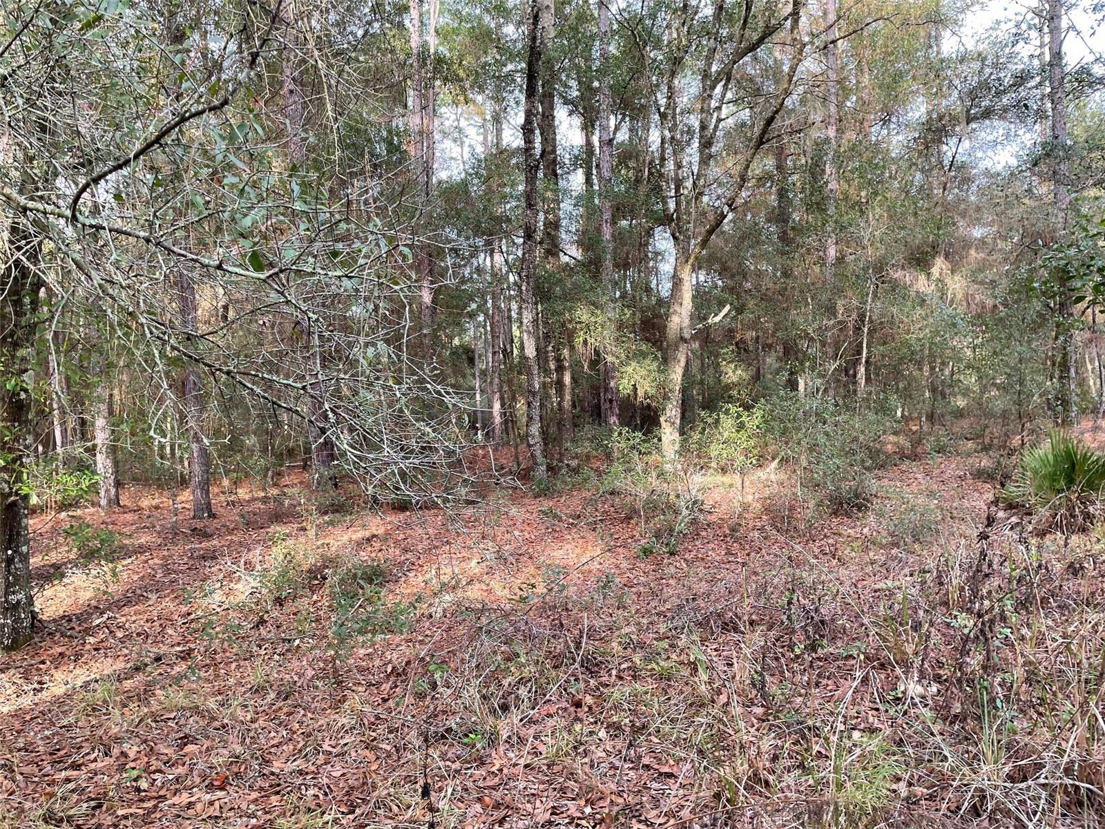 Lot 9 Sw 152nd Ave Property Photo 2