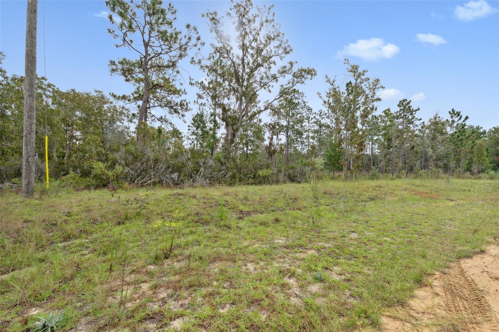 240 Cessna Way Property Photo 12