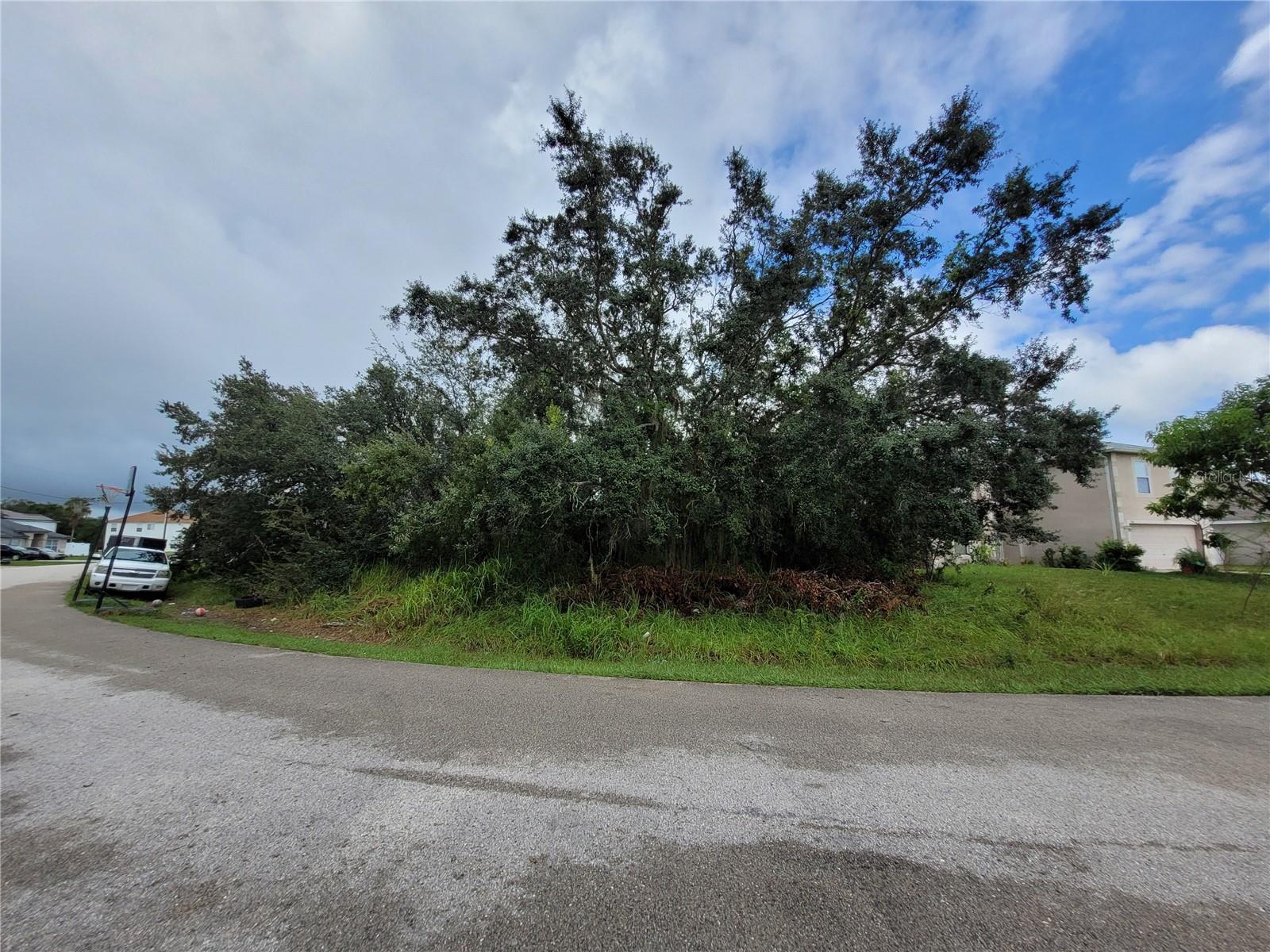 1946 Manatee Ct Property Photo 3