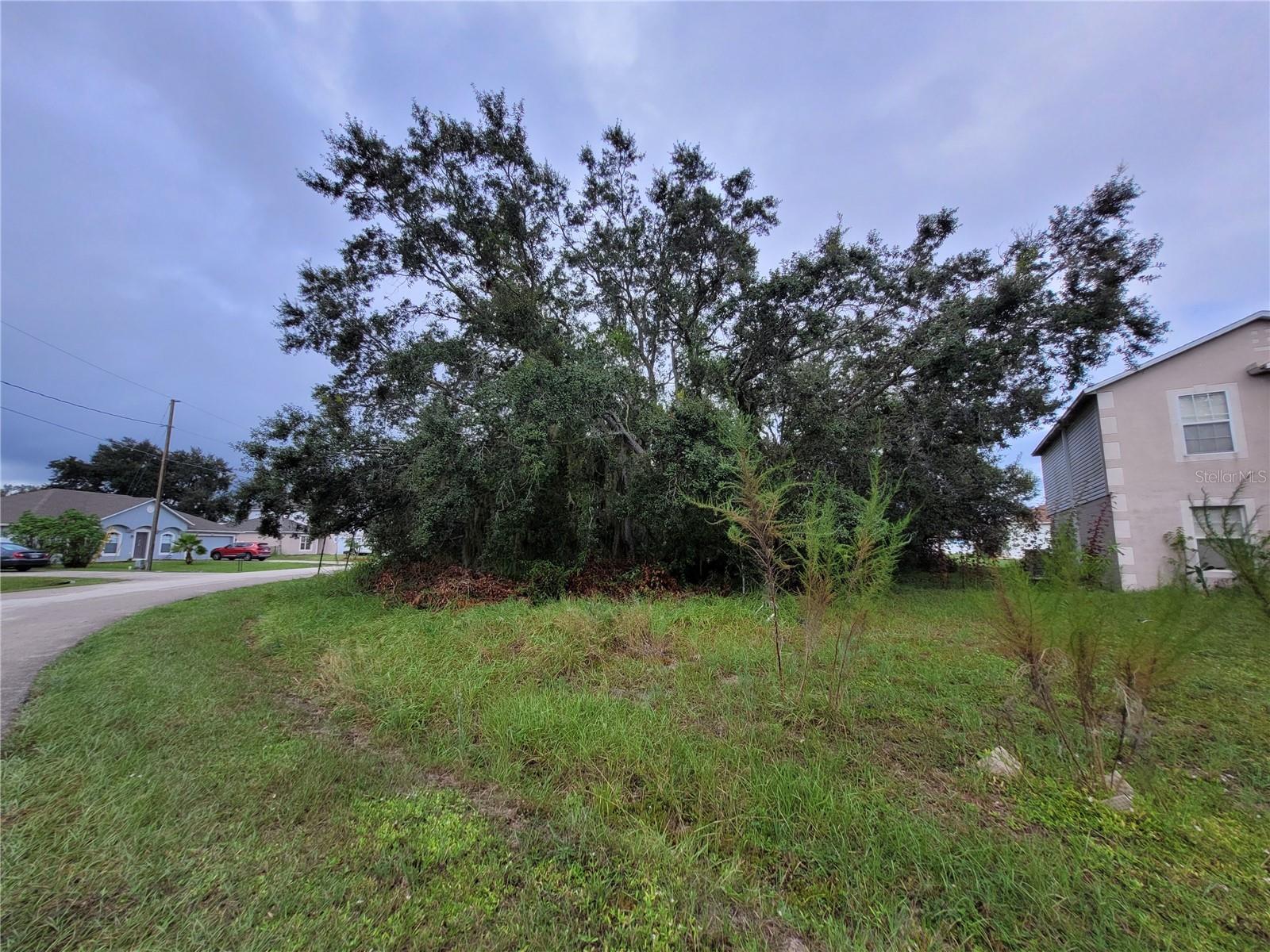 1946 Manatee Ct Property Photo 6