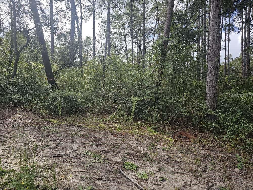 Se 92nd Pl Property Photo 2