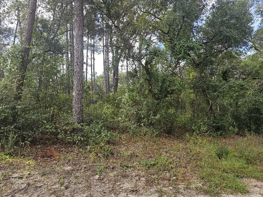 Se 92nd Pl Property Photo 3