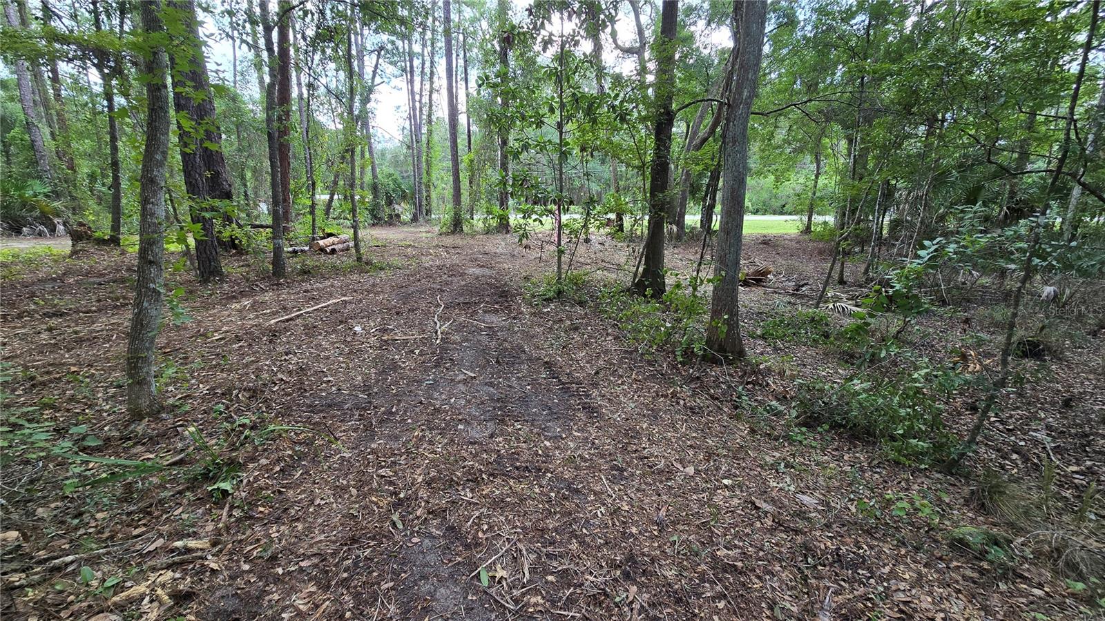 00 E Highway 316 Property Photo 4