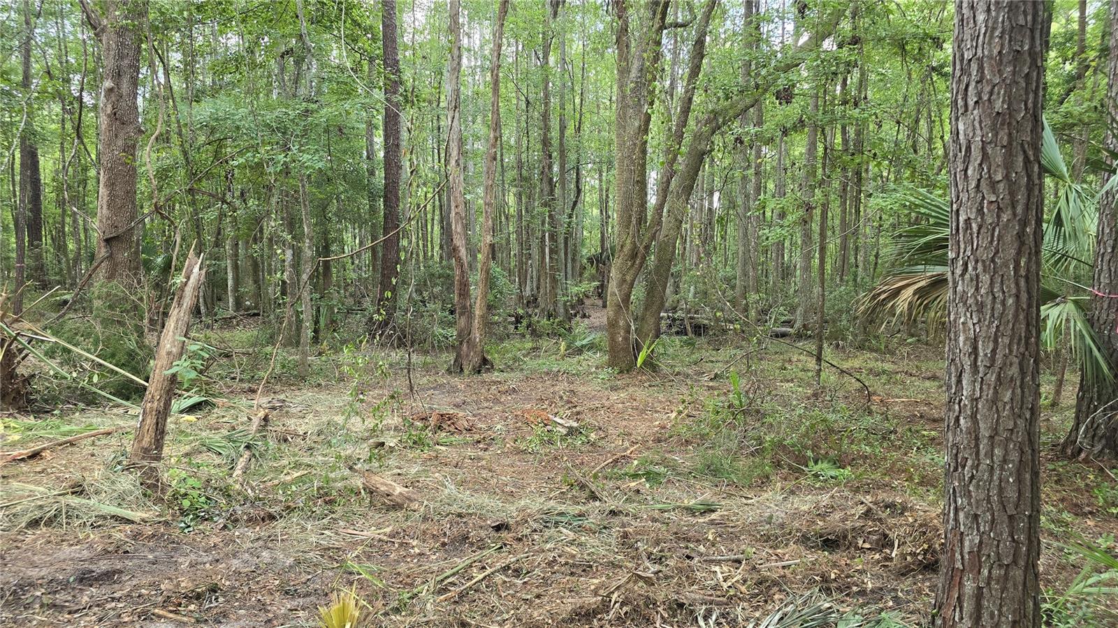 00 E Highway 316 Property Photo 6