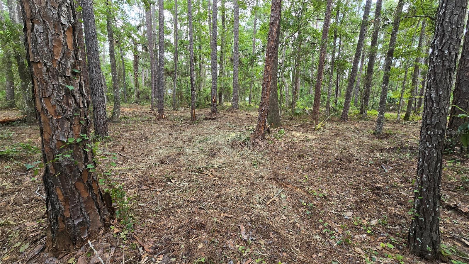 00 E Highway 316 Property Photo 7