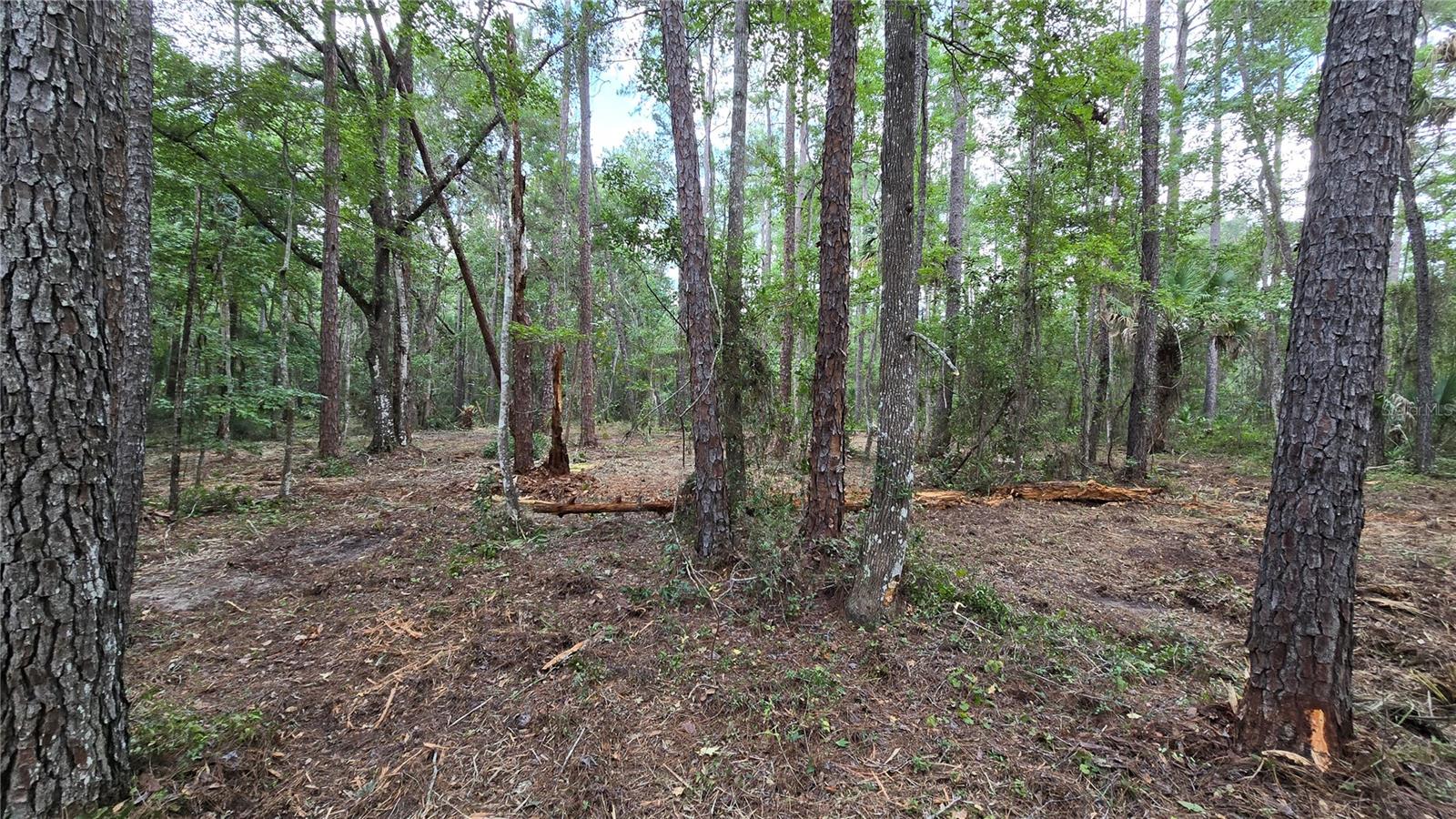 00 E Highway 316 Property Photo 8